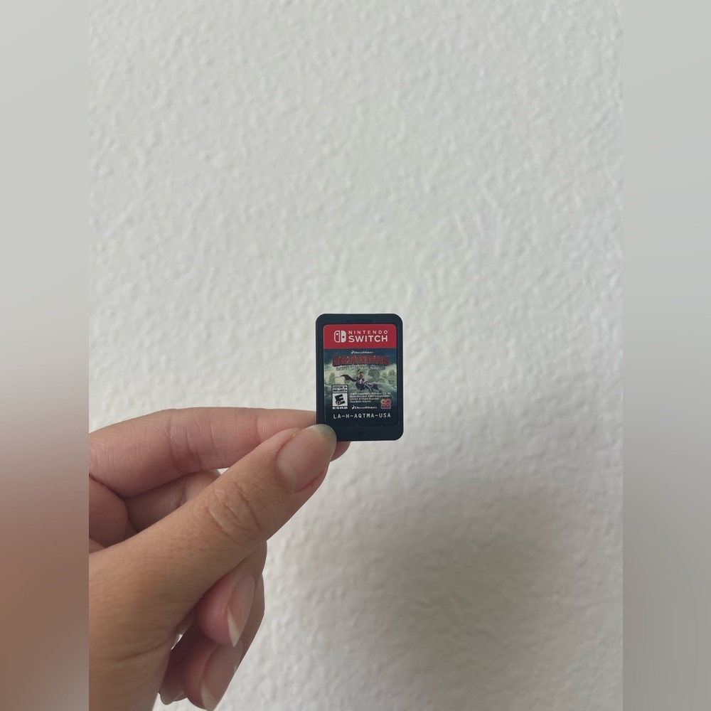 Nintendo Switch Game - Dragons: Dawn of New Riders (game cartridge only)